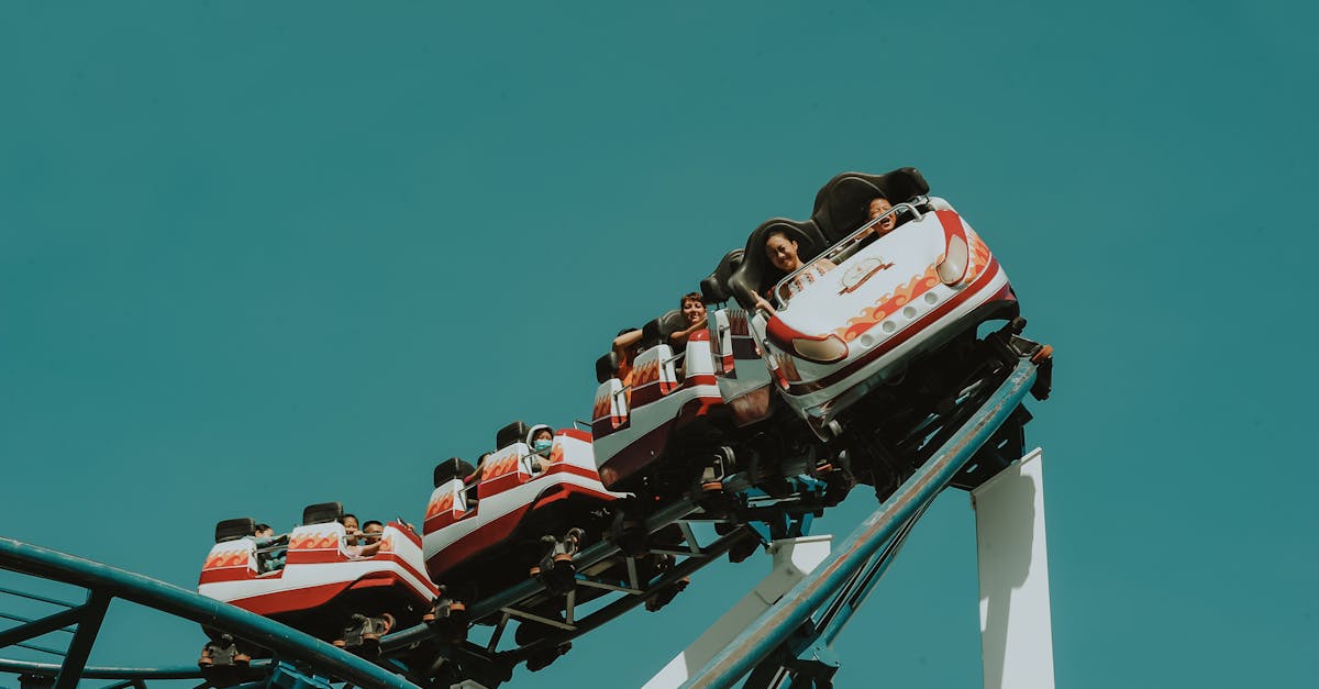 découvrez l'attraction incontournable de notre destination : une expérience unique qui émerveille les visiteurs de tous âges, avec des activités palpitantes, des spectacles fascinants et des moments inoubliables à partager en famille ou entre amis.