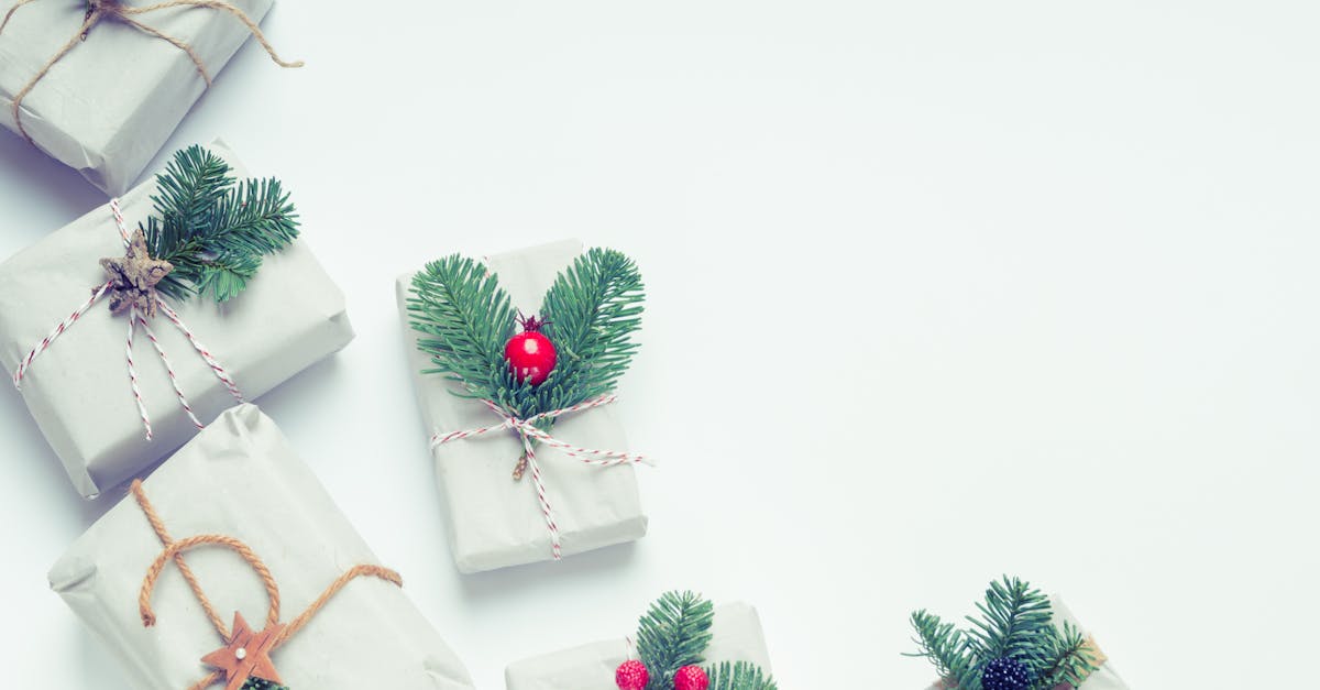découvrez notre sélection de cadeaux de noël uniques et originaux pour émerveiller vos proches. que ce soit pour les enfants, les adultes ou les passionnés, trouvez l'inspiration idéale pour rendre ces fêtes mémorables !