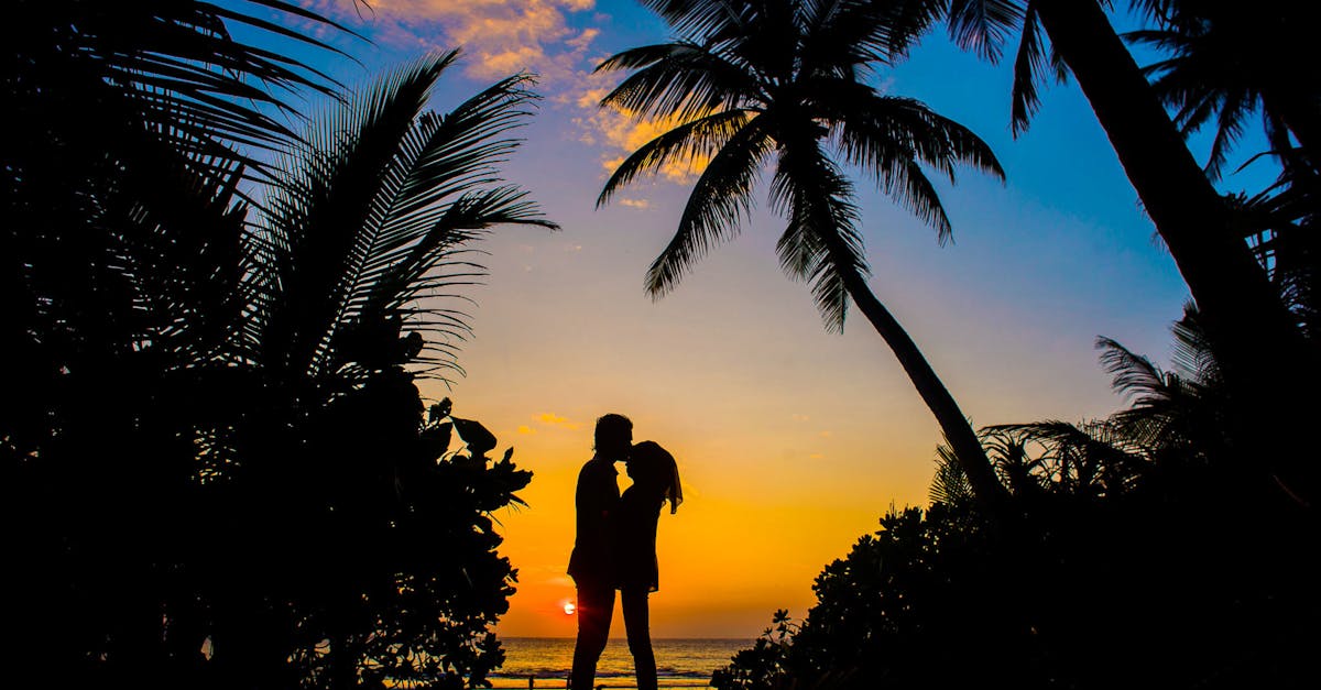 découvrez l'univers fascinant de l'amour à travers des histoires inspirantes, des conseils relationnels et des réflexions profondes sur ce sentiment universel qui nous unit tous.