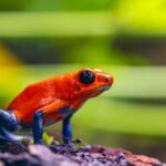 découvrez les comportements toxiques et leurs impacts sur les relations. apprenez à les identifier, à les comprendre et à les surmonter pour favoriser un environnement sain et positif.