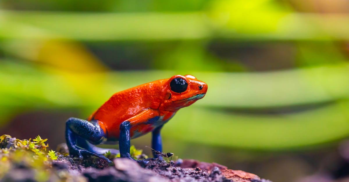 découvrez les comportements toxiques et leurs impacts sur les relations. apprenez à les identifier, à les comprendre et à les surmonter pour favoriser un environnement sain et positif.