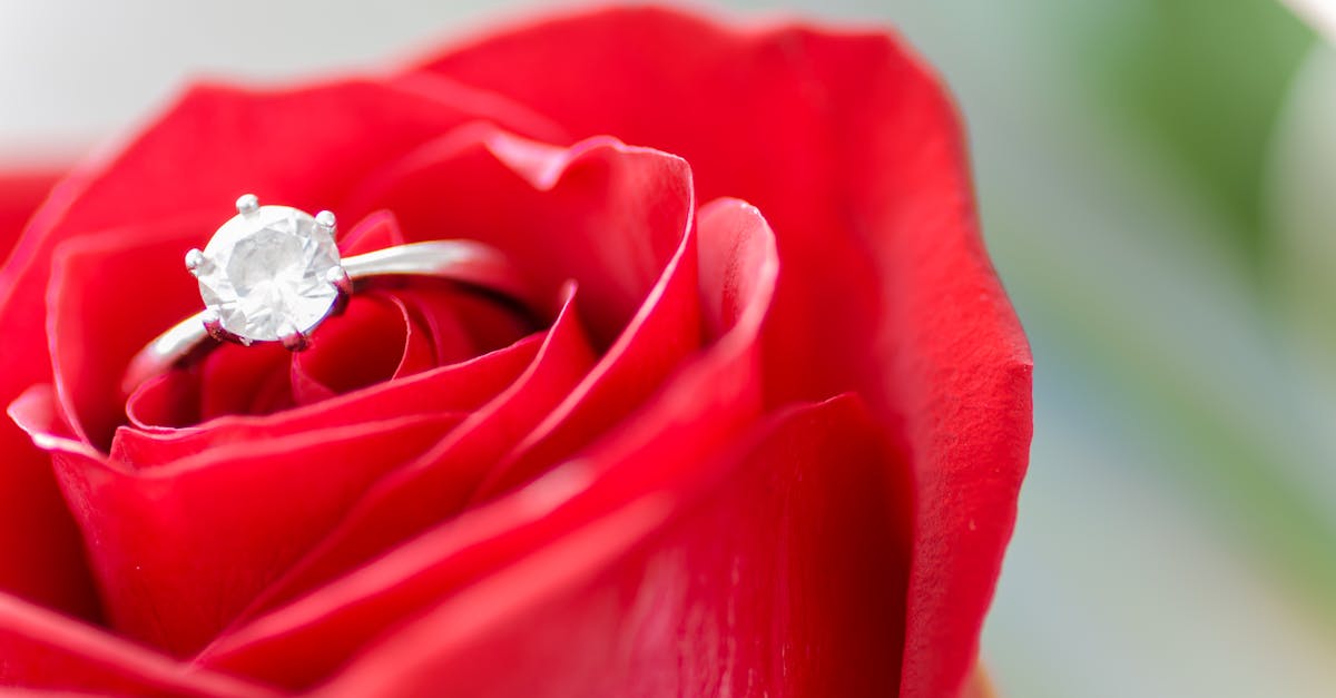 découvrez l'essence de l'amour à travers des histoires touchantes, des conseils pour les relations et des réflexions sur la passion. plongez dans un univers où les émotions se mêlent à la beauté des liens humains.