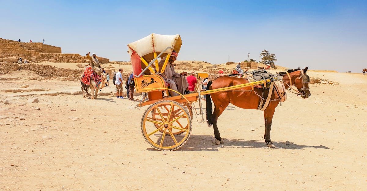 découvrez des attractions captivantes qui émerveilleront petits et grands. des parcs d'attractions aux sites historiques, vivez des expériences inoubliables et laissez-vous transporter par la magie des lieux incontournables.