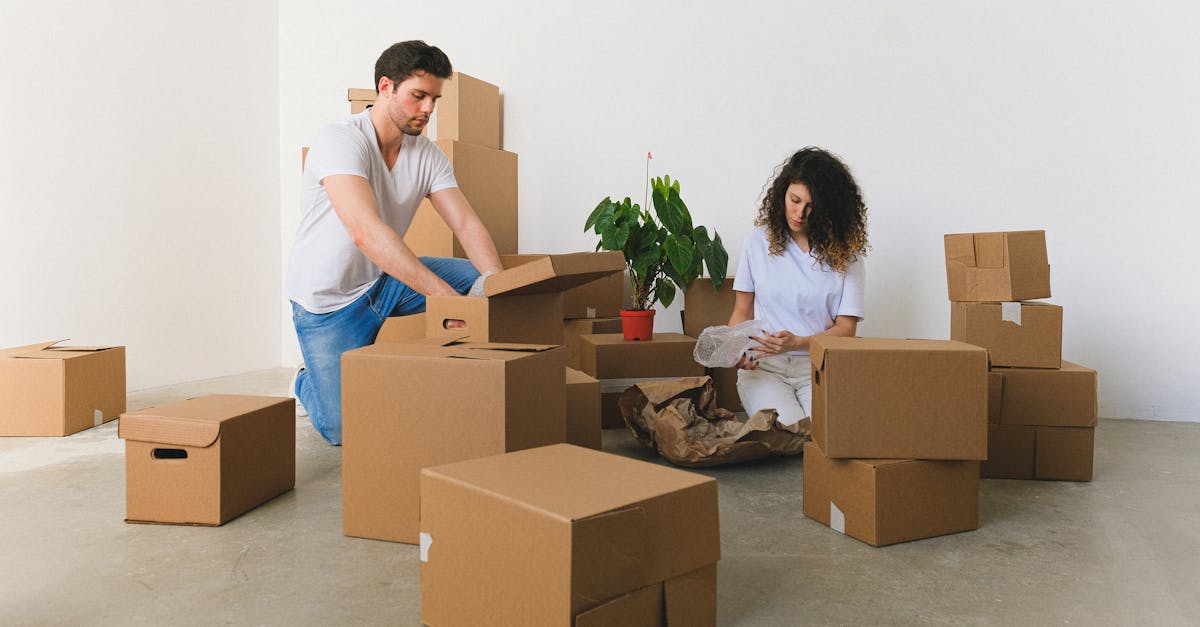 découvrez les clés de la cohabitation harmonieuse, ses avantages, ses défis et des conseils pratiques pour vivre ensemble en toute sérénité.