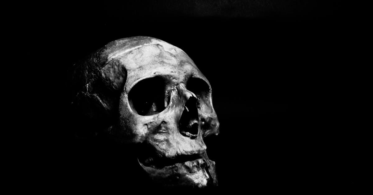 découvrez les différentes facettes de la peur, cette émotion universelle qui influence nos pensées et nos comportements. plongez dans l'exploration de ses origines, de ses manifestations et des façons de la surmonter pour vivre une vie plus épanouie.