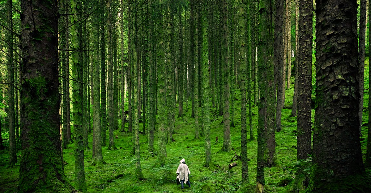 découvrez le phénomène du ghosting, où une personne disparaît soudainement de la vie d'une autre sans explication. explorez ses origines, ses impacts émotionnels et les moyens d'y faire face. informez-vous sur ce comportement dans les relations modernes.