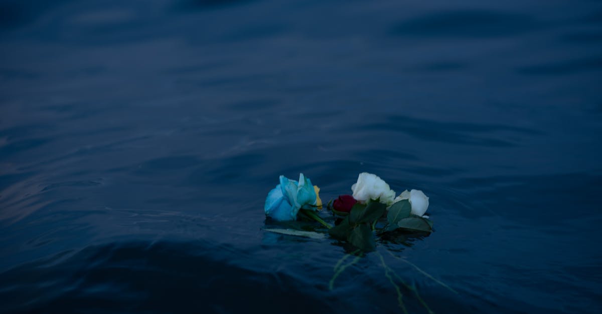 découvrez l'histoire poignante de l'amour perdu, un voyage émotionnel mélangeant nostalgie et espoir. plongez dans les secrets et les souvenirs d'une passion inachevée qui résonne au plus profond de nos cœurs.