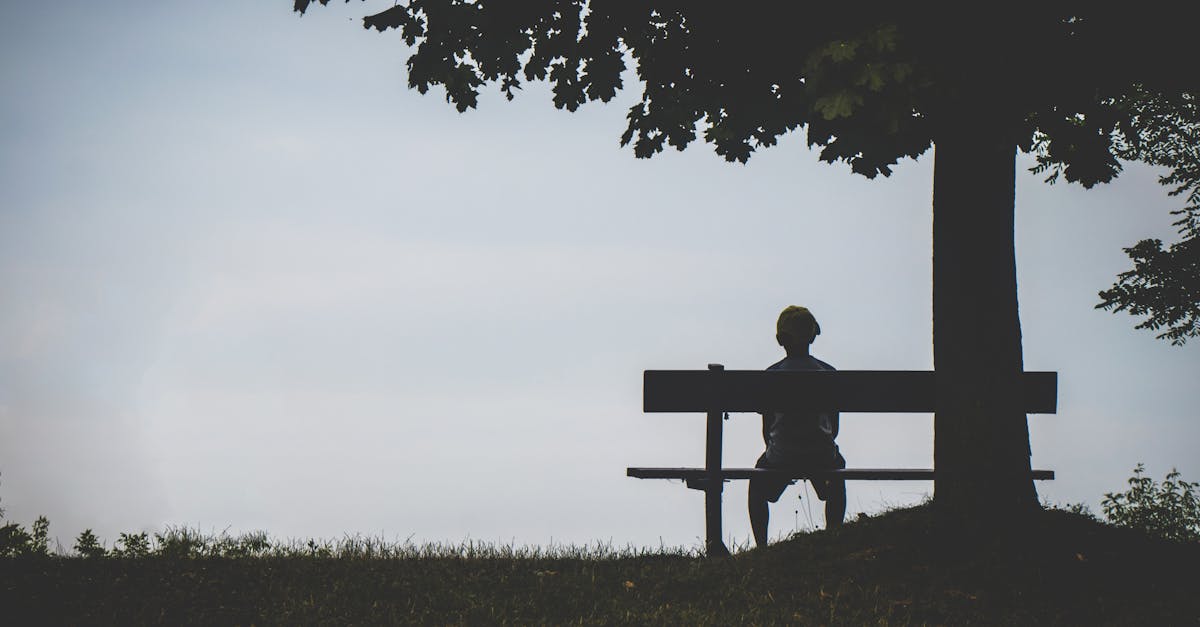 découvrez l'art du silence, un état de sérénité et de réflexion. explorez des techniques pour apprécier le calme et la tranquillité dans un monde souvent bruyant. plongez dans les bienfaits du silence pour votre bien-être mental et émotionnel.
